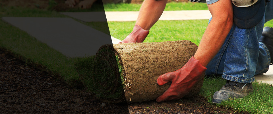 Morrisonville Landscapers